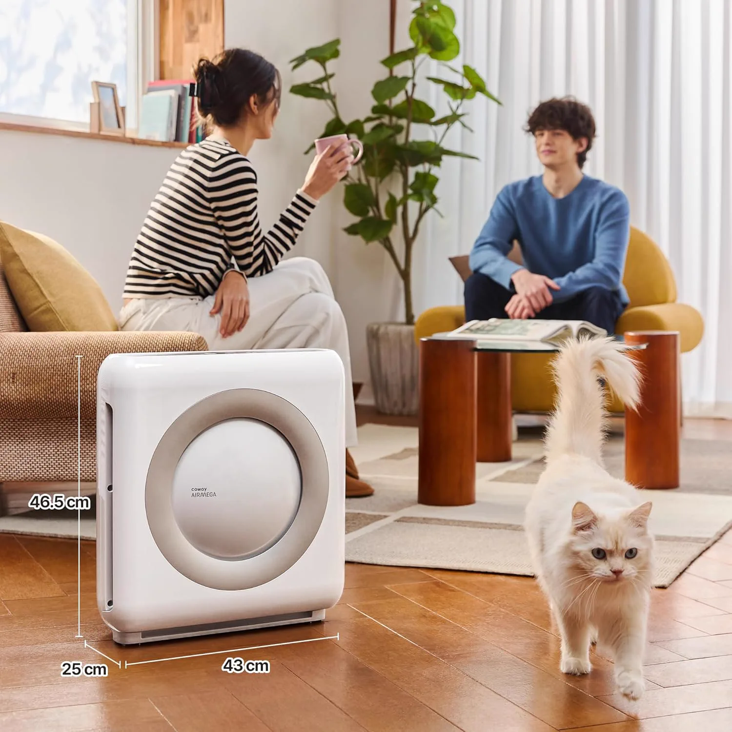 Coway AP-1512HH Mighty en una estancia domestica